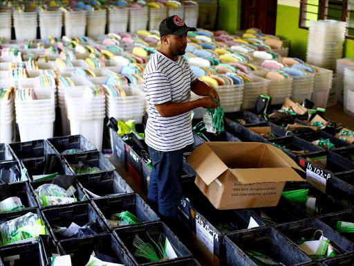 An election clerk in Mombasa organises polling material a day ahead of the general election, August 7, 2017. /REUTERS