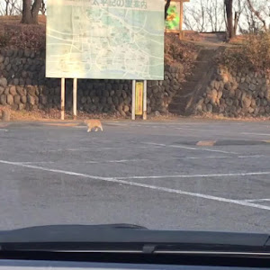 アクア