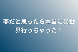 夢だと思ったら本当に異世界行っちゃった！