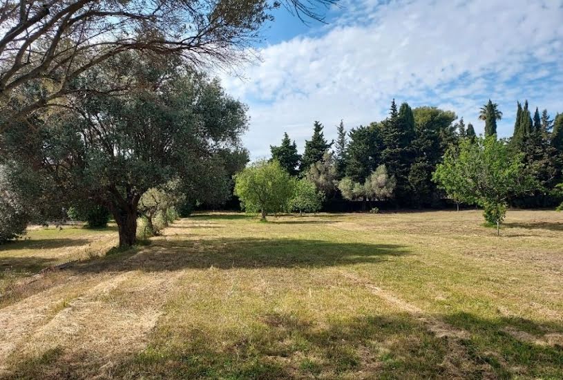  Vente Terrain + Maison - Terrain : 510m² - Maison : 110m² à Sanary-sur-Mer (83110) 