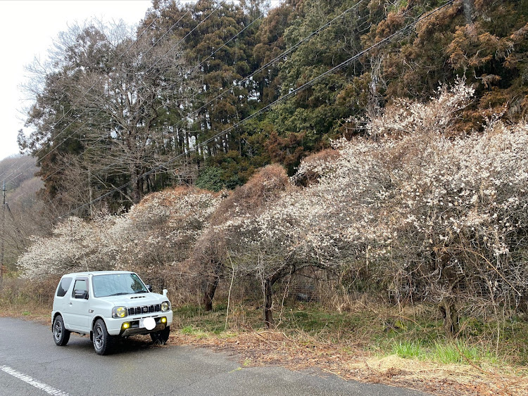 の投稿画像20枚目