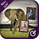 Download Wild Animal Dual Photo Frames For PC Windows and Mac 1.0