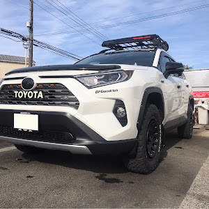 RAV4 AXAH54