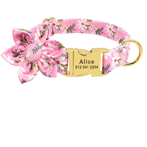 Title 4, Fashion Printed Dog Collar Personalized Nylon w...