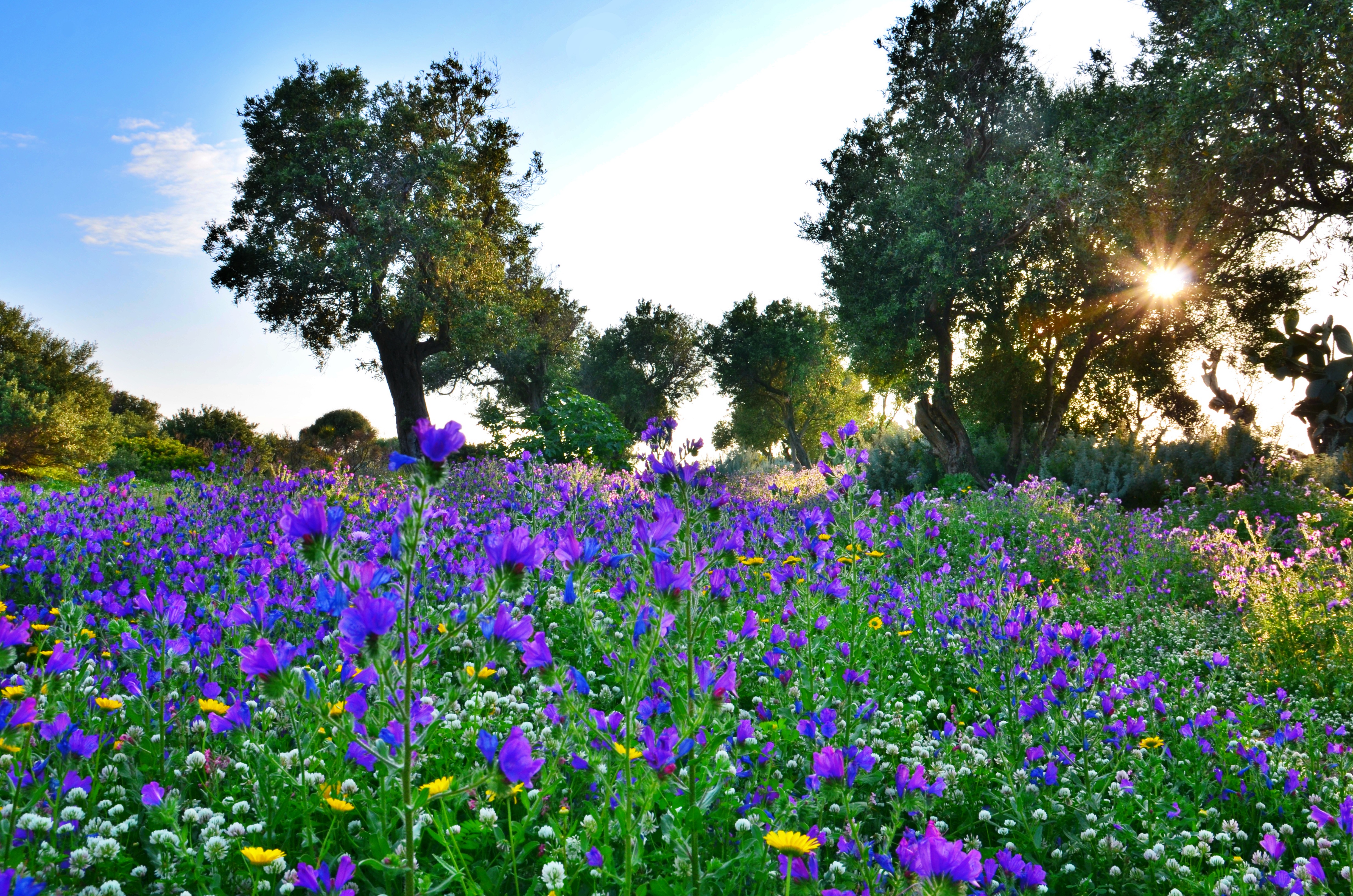 Ritornano i colori di AntoMarPh