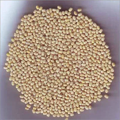 Urad Dal - 500 gm