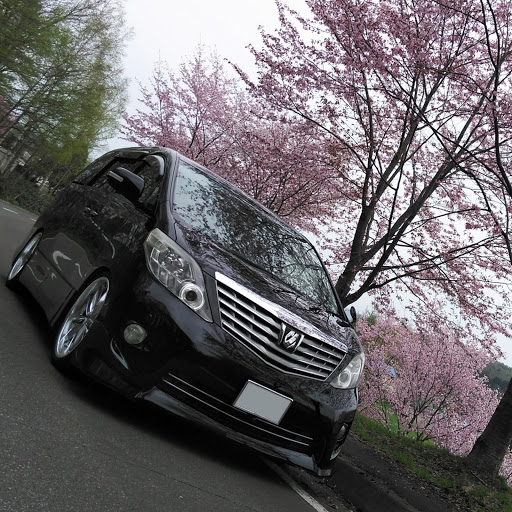ちぃ助のプロフィール画像
