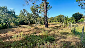 terrain à batir à Sotta (2A)