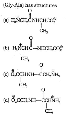 Amino Acids