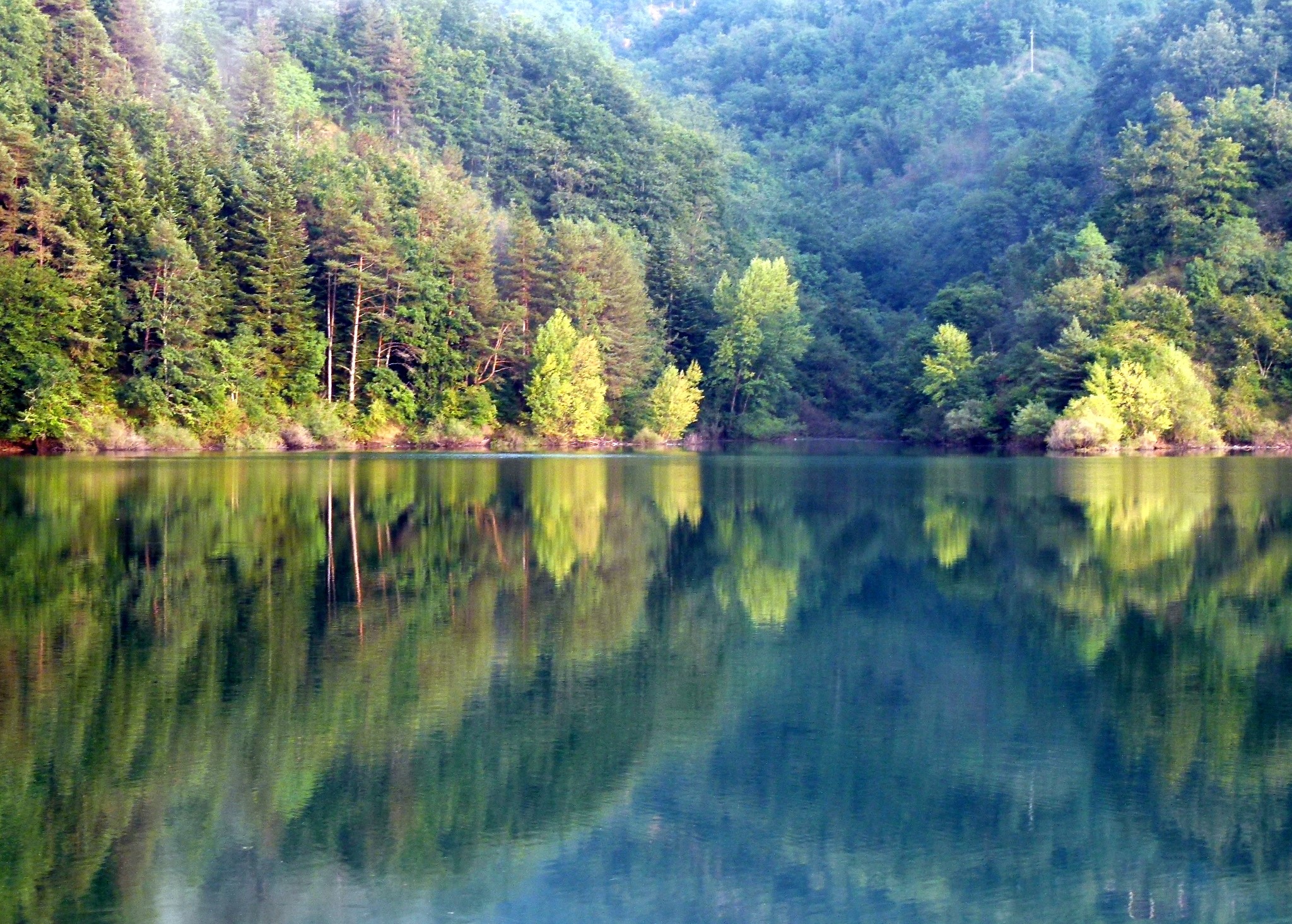 riflessi nel lago di gramolazzo, ms