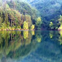 riflessi nel lago di gramolazzo, ms