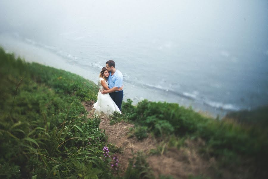 Wedding photographer Alena Goncharova (alenagoncharova). Photo of 28 December 2015