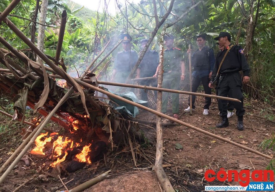 Lán trại và đồ dùng sinh hoạt của các đối tượng tại tụ điểm mua bán trái phép chất ma túy