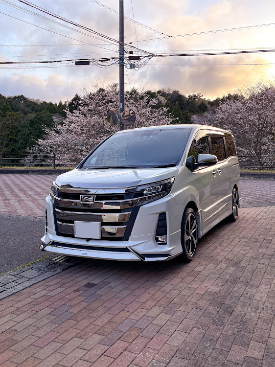 ノアのサクラと愛車・桜とコラボ・洗車・フルモデリスタに関するカスタム事例の投稿画像1枚目