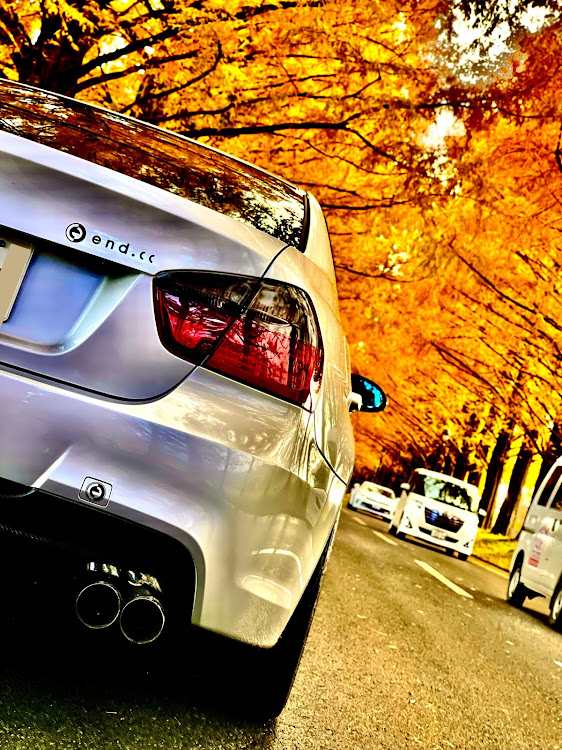 3シリーズ セダンのメタセコイア並木・メタセコイア並木の紅葉・bmw・BMW3シリーズに関するカスタム事例の投稿画像3枚目