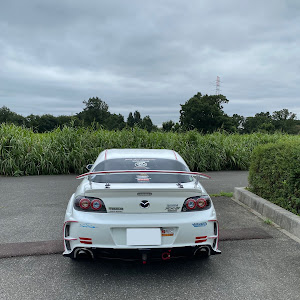 RX-8 SE3P