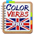 English Irregular Verbs PRO3.8