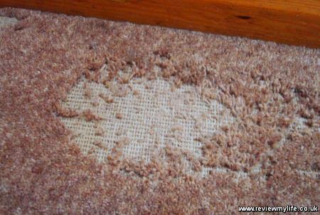 bald spot on carpet image