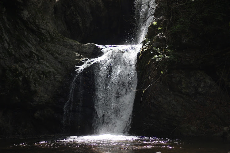 bBのbB に起こった悲劇に関するカスタム事例の投稿画像4枚目