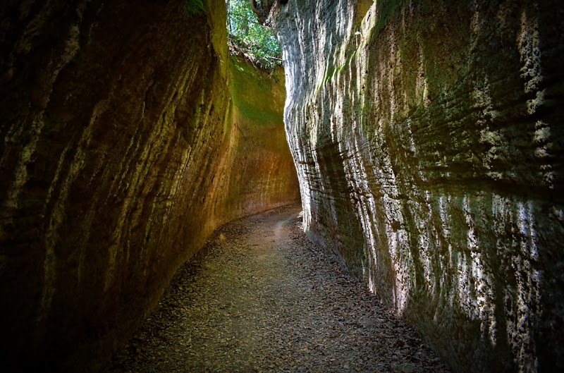 Sotto Terra: Le Vie Cave Etrusche di ayrton73