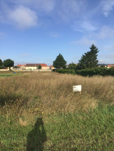 Vente terrain  2290 m² à Cerilly (21330), 27 000 €