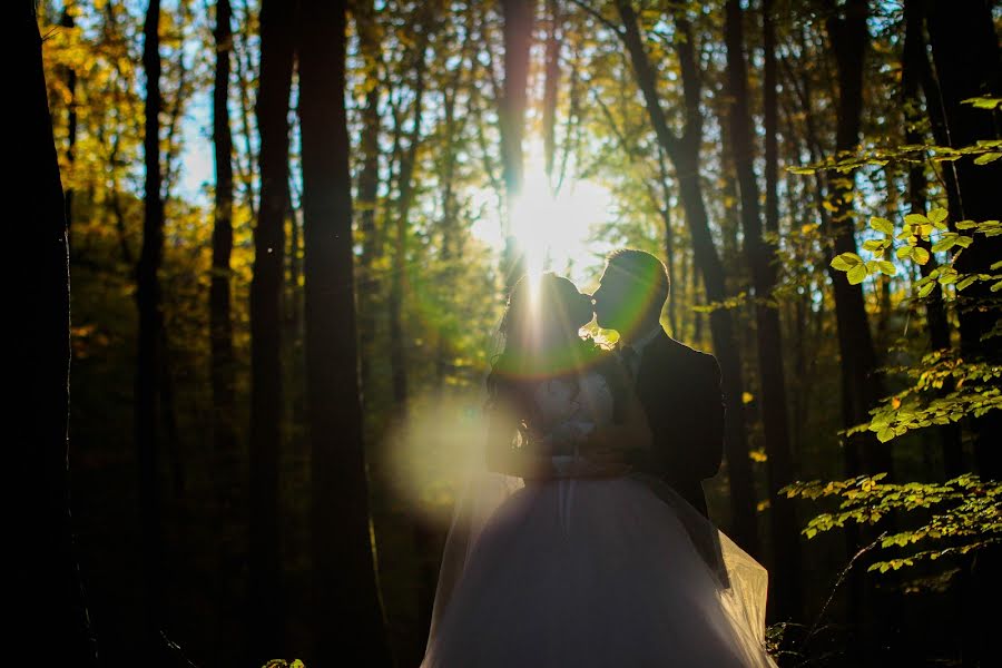 Fotógrafo de casamento Kocsis Tamás (kocsistamas). Foto de 10 de agosto 2016