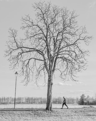 Talvolta la piccolezza dell'uomo nei confronti della natura è disarmante.... di pieralisa