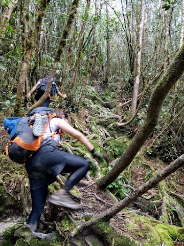 Mount Tahan Climbing