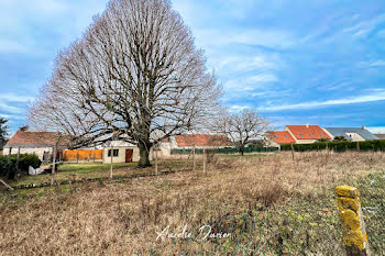 terrain à Sorigny (37)