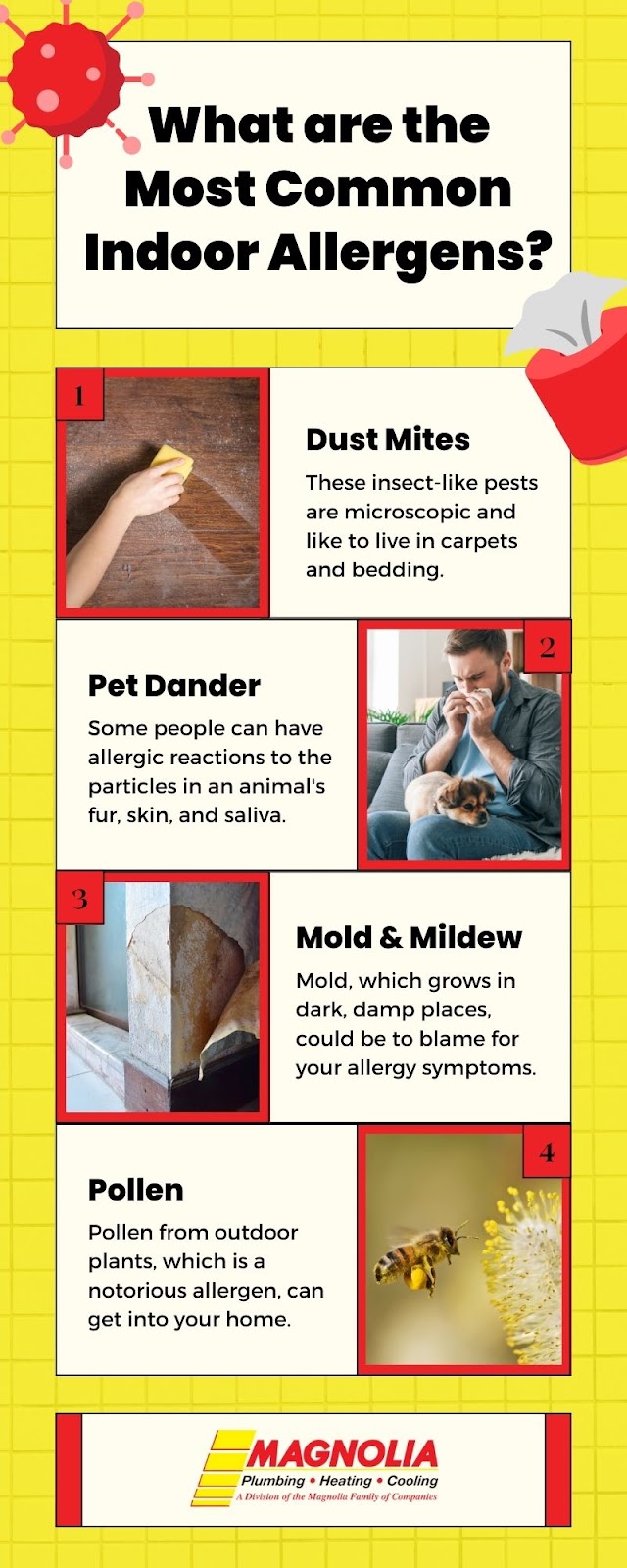 What are the Most Common Indoor Allergens?
Mold & Mildew
Pollen
Mold, which grows in dark, damp places, could be to blame for your allergy symptoms.
Some people can have allergic reactions to the particles in an animal's fur, skin, and saliva.
Pollen from outdoor plants, which is a notorious allergen, can get into your home.
Dust Mites
Pet Dander
These insect-like pests are microscopic and like to live in carpets and bedding.