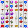 Onet Flowers icon