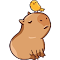 Item logo image for Shycript