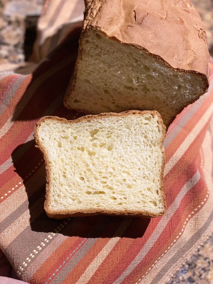 Gluten free white sandwich bread