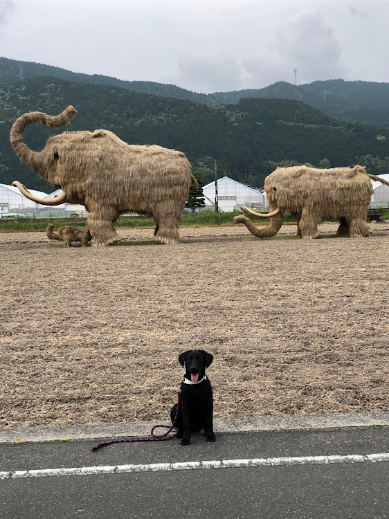 の投稿画像3枚目