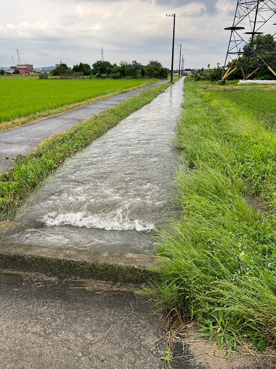 の投稿画像16枚目