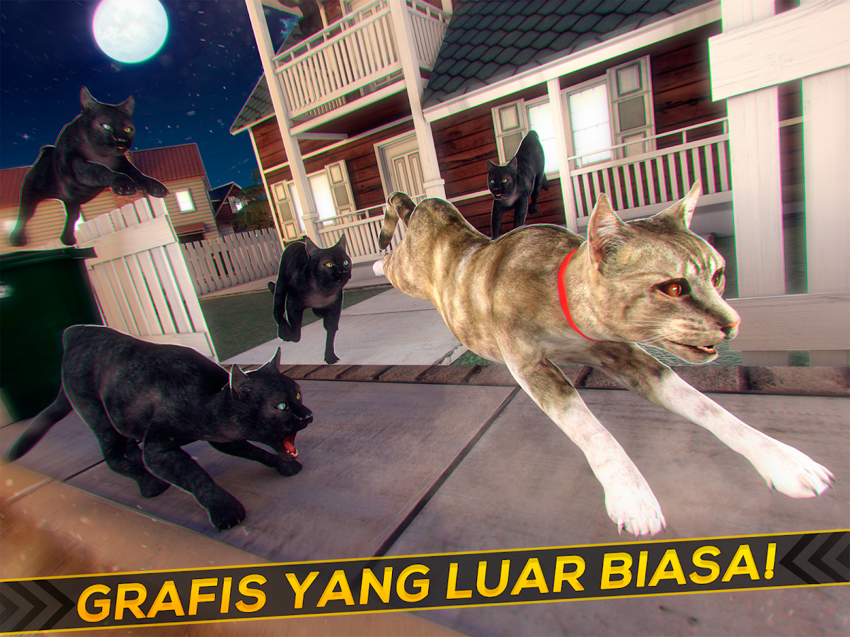 Meow Anak Kucing Bayi Imut Apl Android Di Google Play