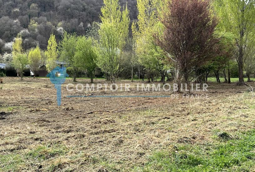  Vente Terrain à bâtir - 4 115m² à Argut-Dessous (31440) 