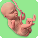 Icon Mom Pregnancy Games: Mom Care