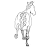 Innova Horse Care App icon