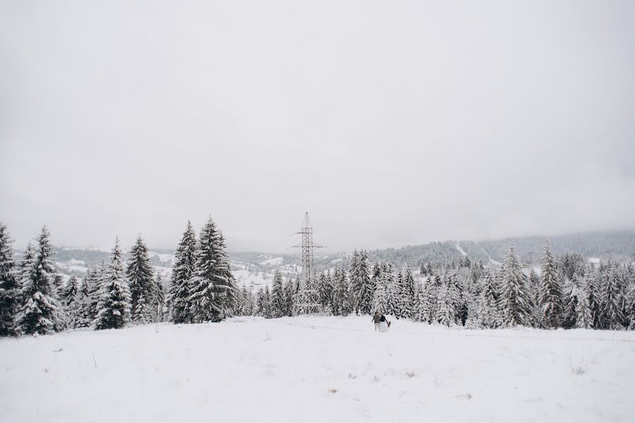 Wedding photographer Єlizaveta Gubanova (gubanova19). Photo of 20 February 2019