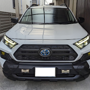 RAV4 MXAA54