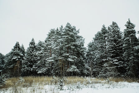 Vestuvių fotografas Natalya Smekalova (smekinata). Nuotrauka 2016 lapkričio 10