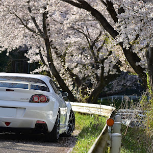 RX-8 SE3P