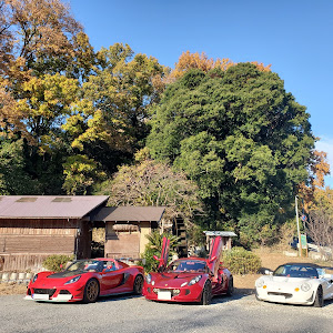 エリーゼ
