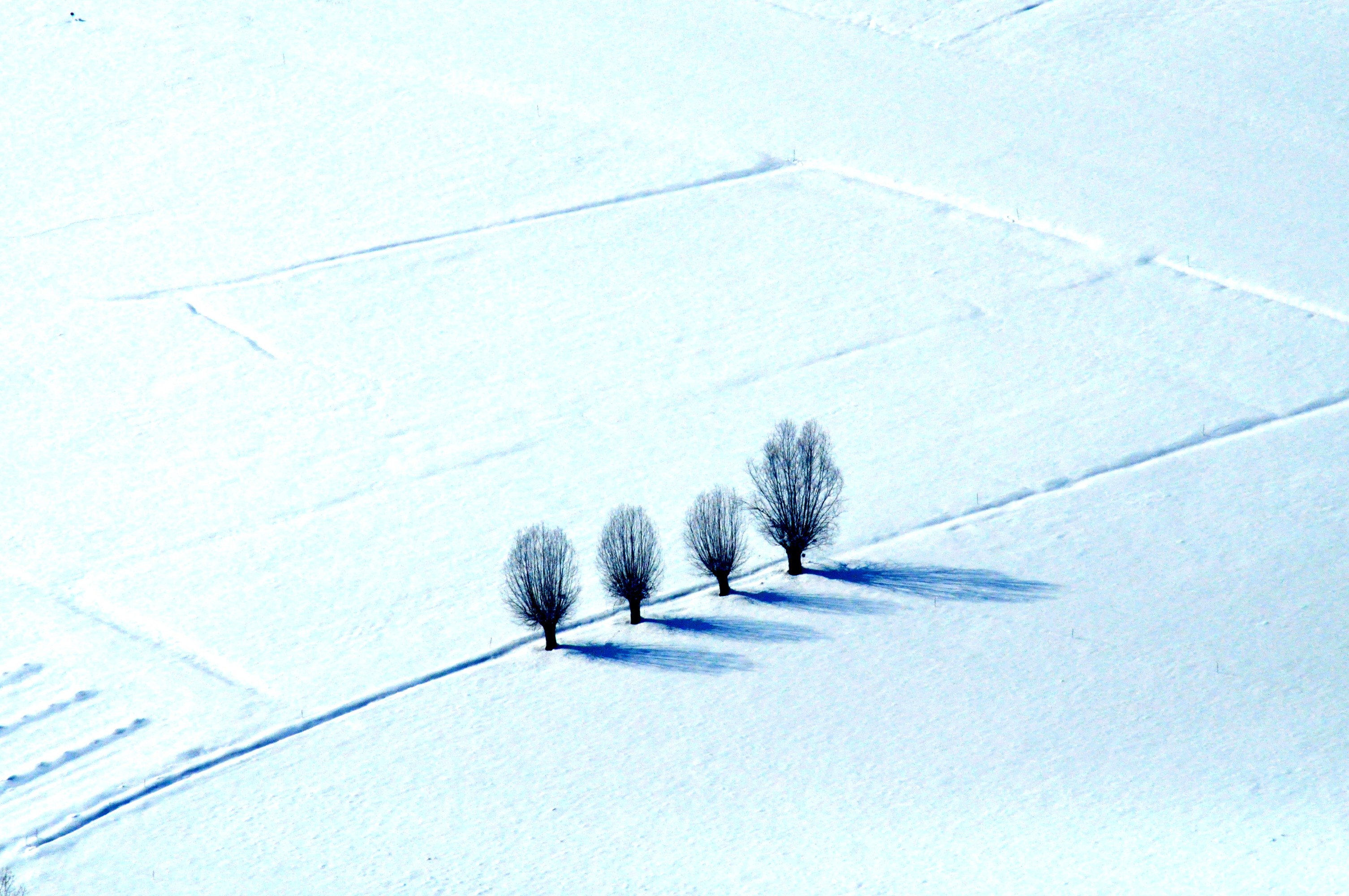 Solitari nel bianco di silvvv