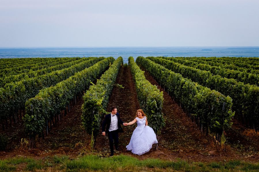 Wedding photographer Ioana Pintea (ioanapintea). Photo of 11 September 2018