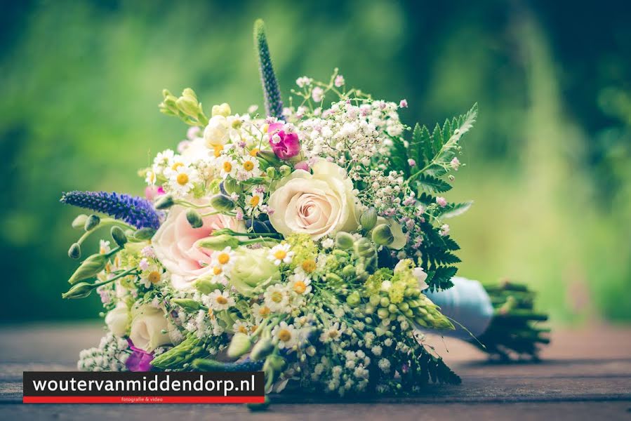 Fotógrafo de casamento Wouter Van Middendorp (vanmiddendorp). Foto de 7 de março 2019