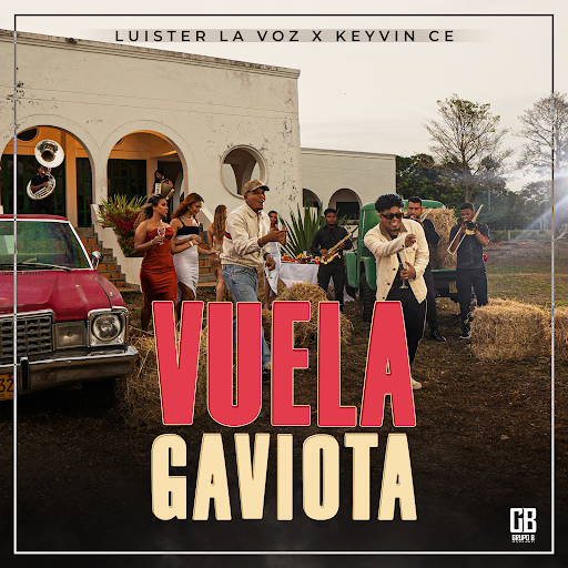 Vuela Gaviota - YouTube Music