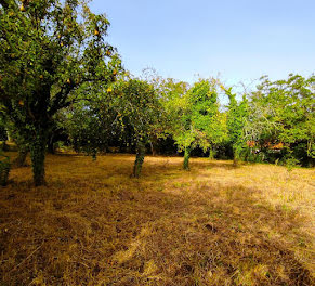 terrain à Saint-Julien-l'Ars (86)