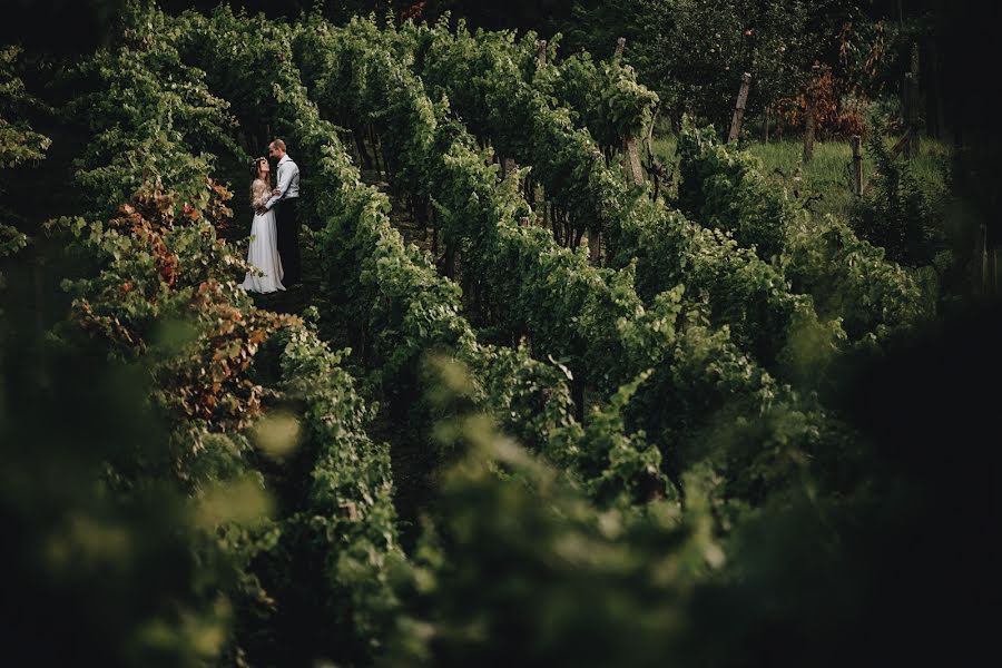 Wedding photographer Zsolt Sári (zsoltsari). Photo of 18 November 2018